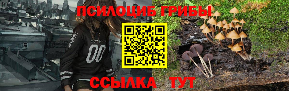 Галлюциногенные грибы Magic Shrooms Выкса