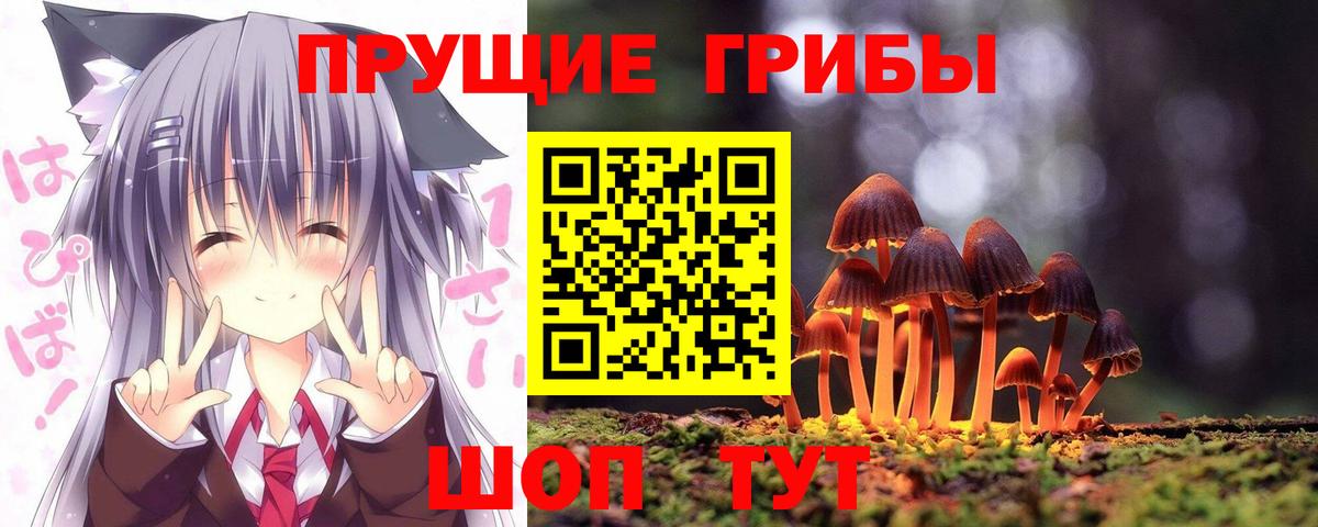 Псилоцибиновые грибы Psilocybine cubensis  Вход с VPN  Галлюциногенные грибы MAGIC MUSHROOMS  Выкса 